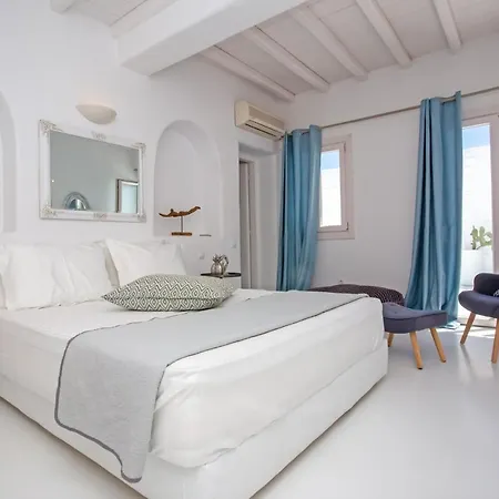 Anasa Mykonos Βίλα *