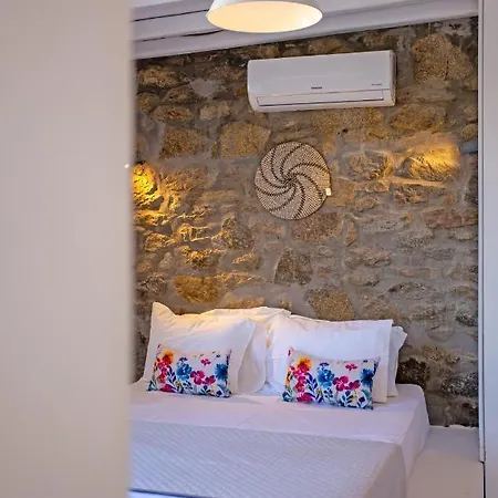 Anasa Mykonos Βίλα Mykonos Town