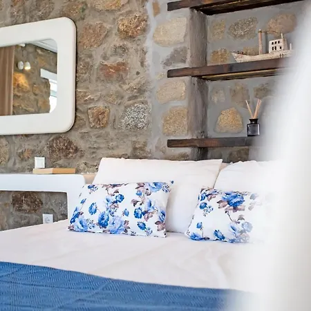 Anasa Mykonos Βίλα Mykonos Town